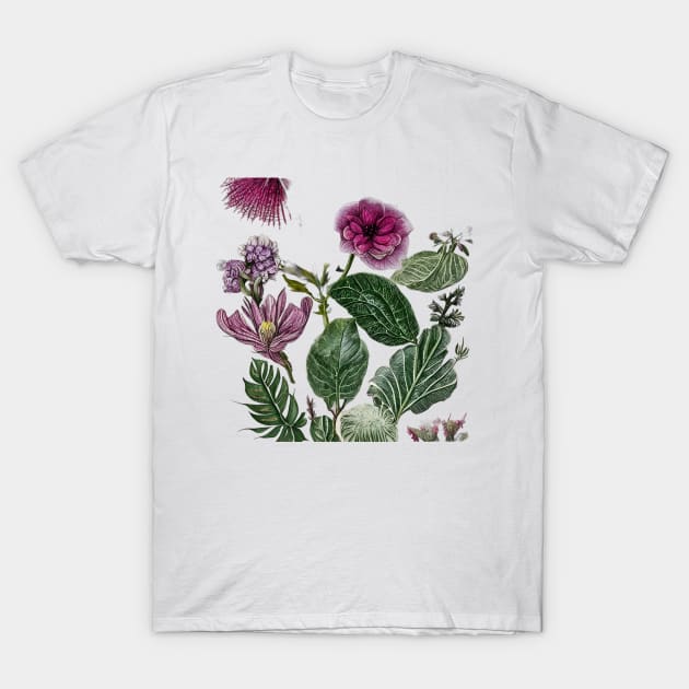 The Art of Nature T-Shirt by DaniyalDk